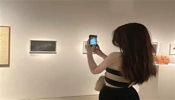 18391499662